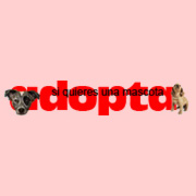 adopta