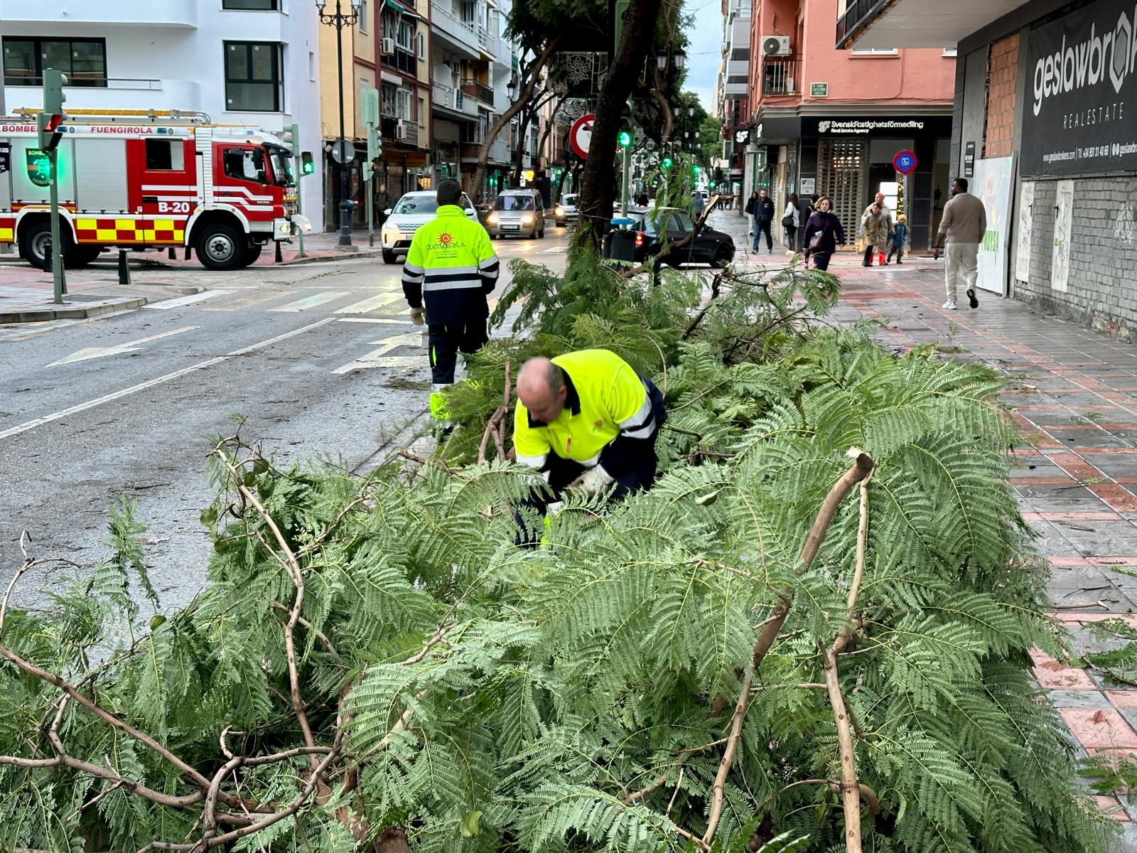 Fuengirola actúa en una treintena de incidencias producidas por el fuerte viento de la pasada madrugada 2 Dos operarios retiran ramas ca%C3%ADdas en la avenida Ram%C3%B3n y Cajal