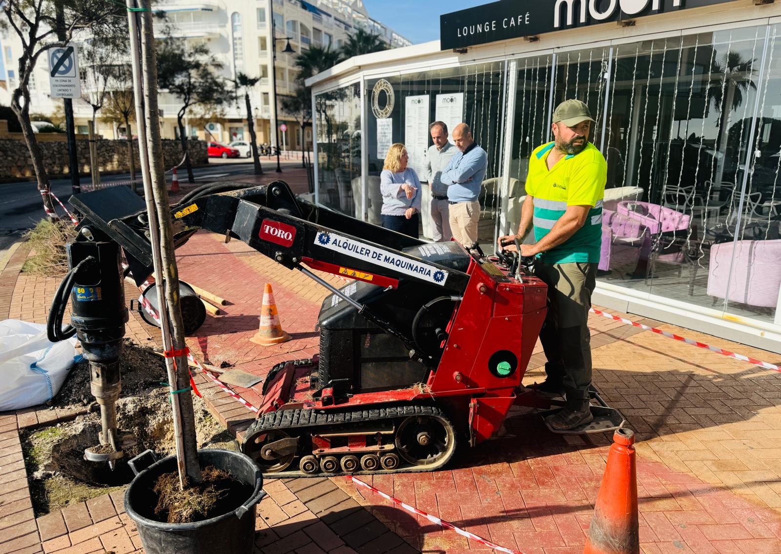 Mula y S%C3%A1nchez observan c%C3%B3mo un operario repone un %C3%A1rbol en un alcorque