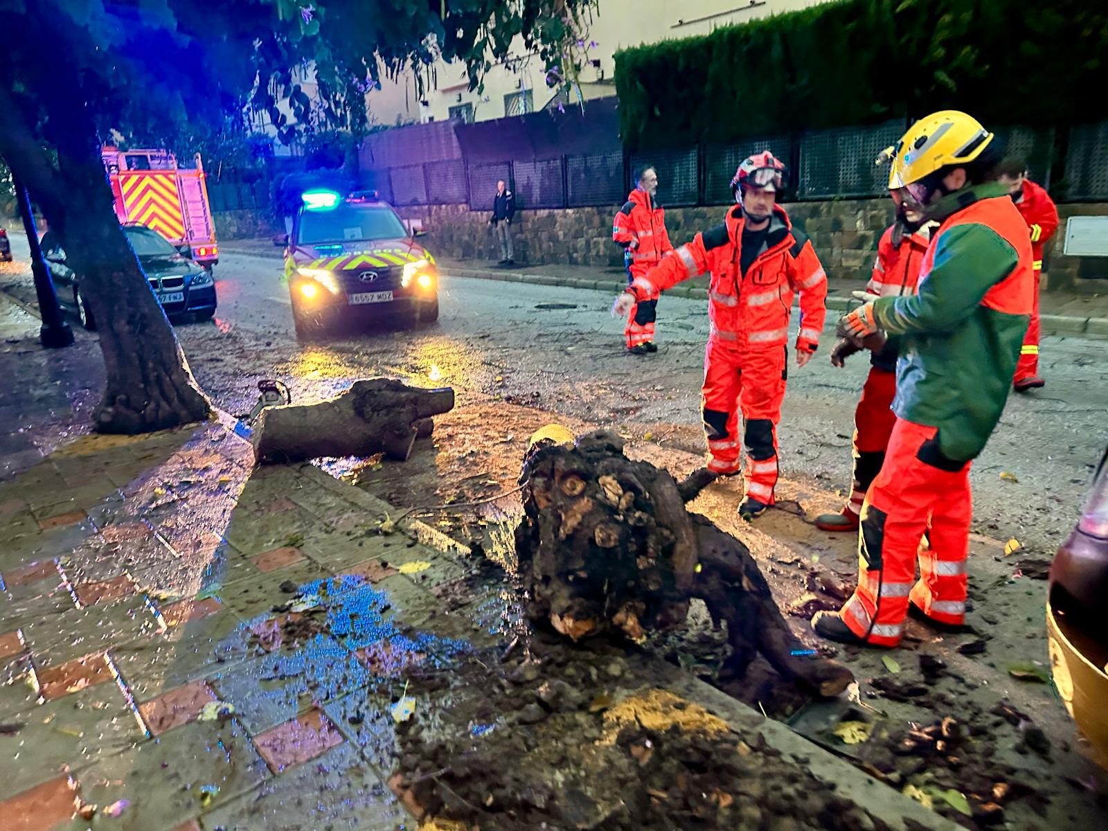 Bomberos trabajando en una de las numerosas incidencias registradas los %C3%BAltimos d%C3%ADas